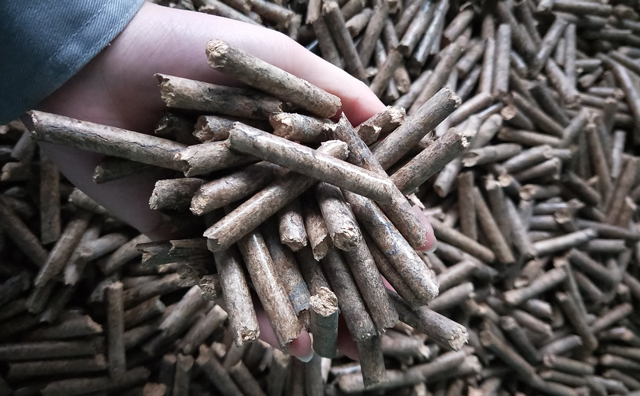 鋸末顆粒機(jī)顆粒,一種快速增長(zhǎng)的能源載體 鋸末顆粒機(jī)顆粒,一種快速增長(zhǎng)的能源載體