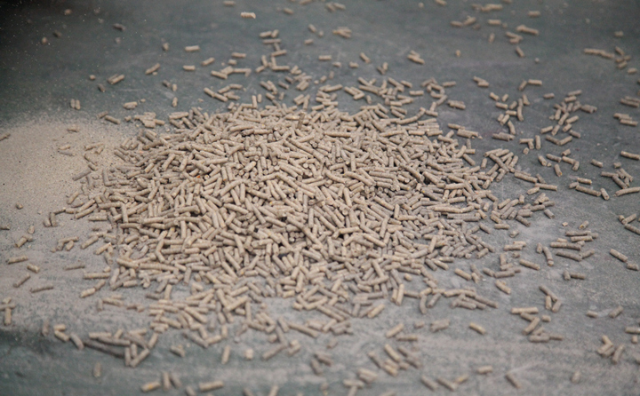 松木鋸末顆粒燃料 松木鋸末顆粒燃料