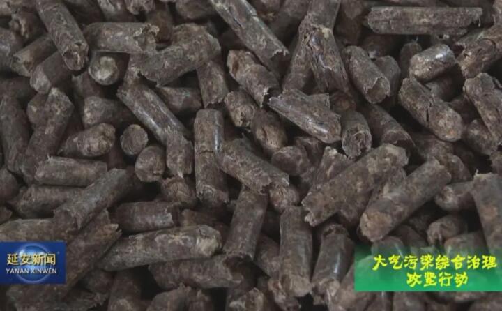 生物質顆粒燃料 生物質顆粒燃料