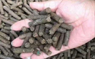 水果渣越來越受歡迎，因?yàn)樗某霈F(xiàn)—生物質(zhì)顆粒機(jī)設(shè)備